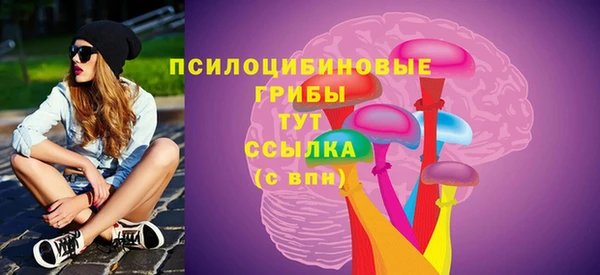кокс Вяземский
