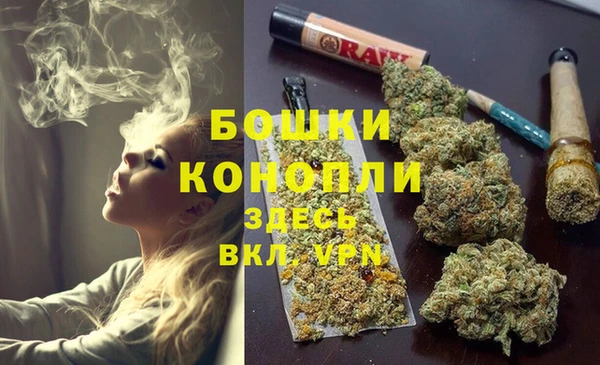 кокс Вяземский