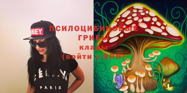 кокс Вяземский