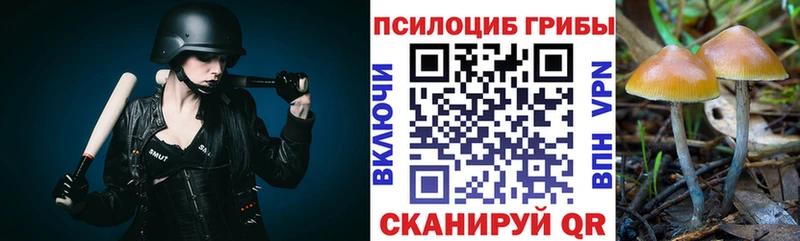 Псилоцибиновые грибы мицелий  Псков 